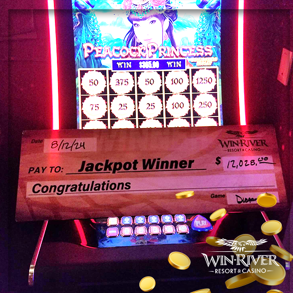 Slot Winners 8.16 5