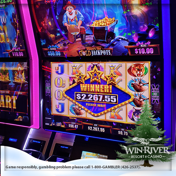 Slot Winners WinterTheme 12.5 3