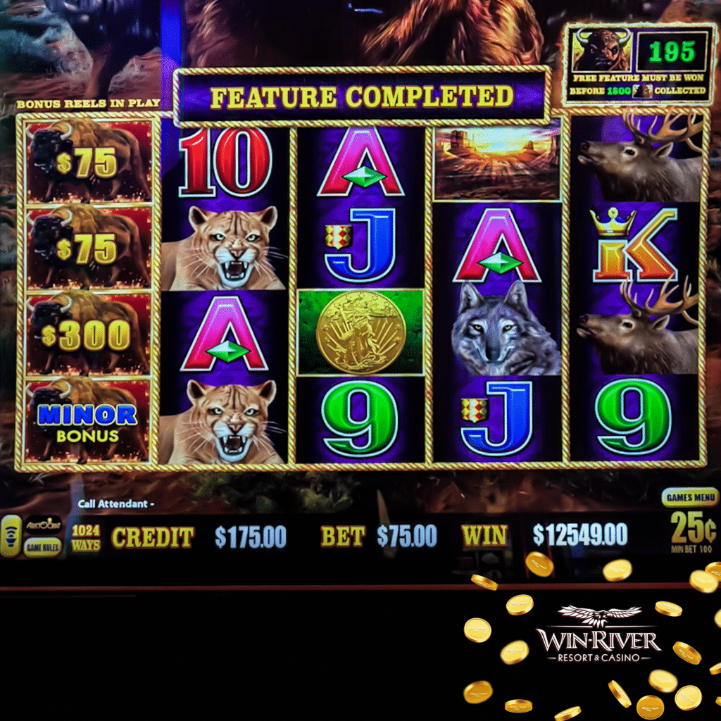 JP Winners Week 3 12549 10.19.26 V001