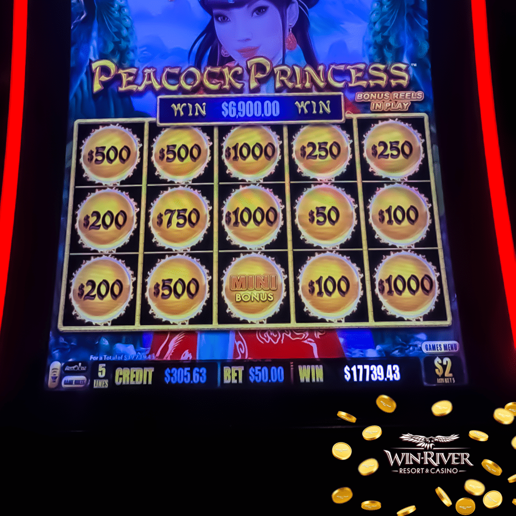 JP Winners Week 3 17739.43 10.19.26 V001